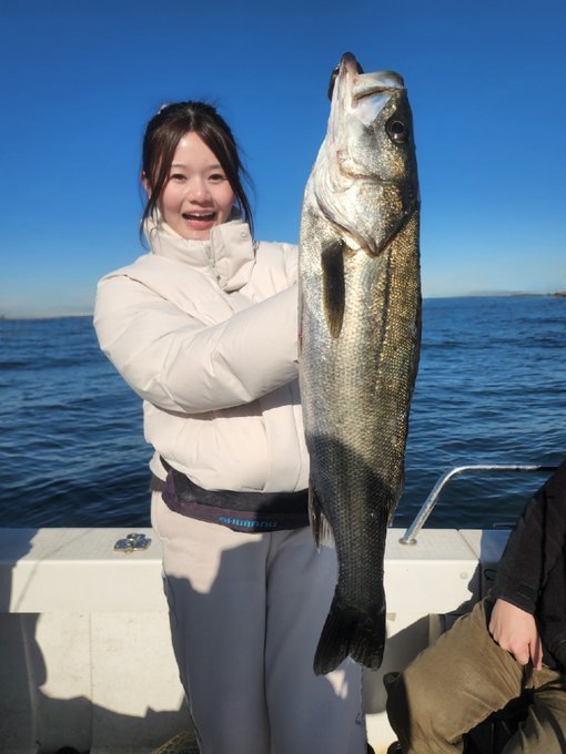 シーバス(スズキ)