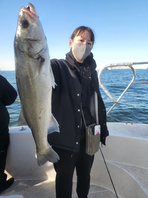 シーバス(スズキ)