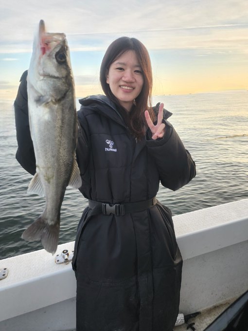 シーバス(スズキ)