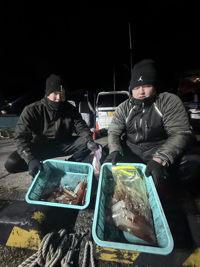 マルイカ(ケンサキイカ)