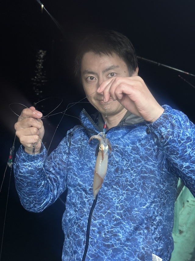 マルイカ(ケンサキイカ)