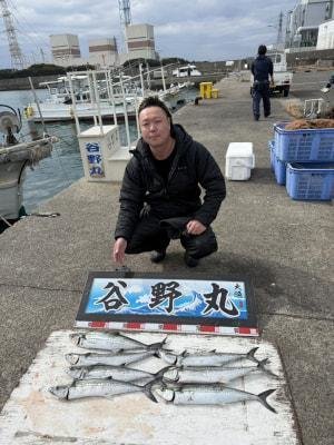 サゴシ(サワラ)・ヤナギ(サワラ)