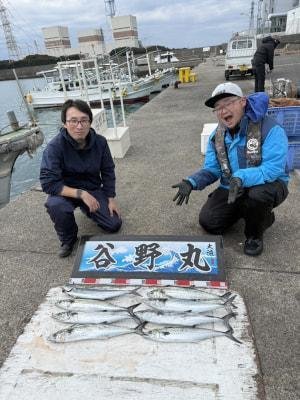 サゴシ(サワラ)・ヤナギ(サワラ)