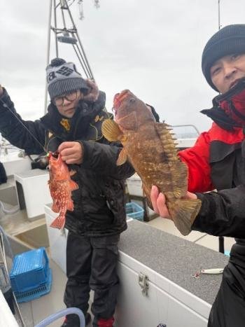 アオハタ・ガシラ(カサゴ)