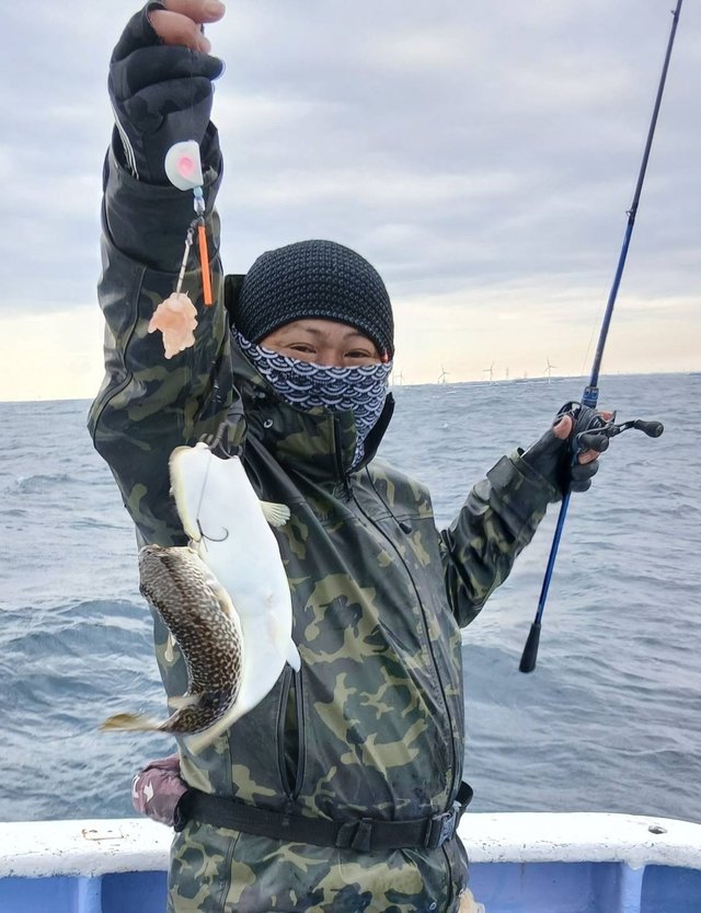 ショウサイフグ