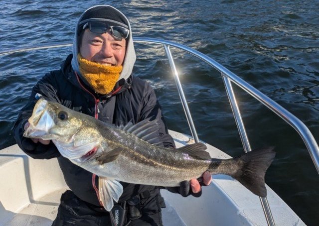 シーバス(スズキ)