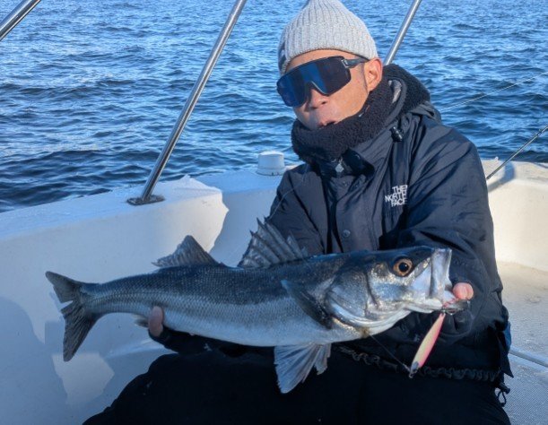 シーバス(スズキ)