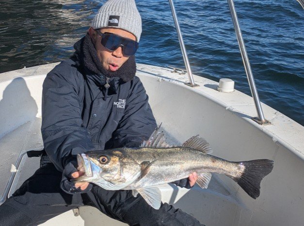 シーバス(スズキ)