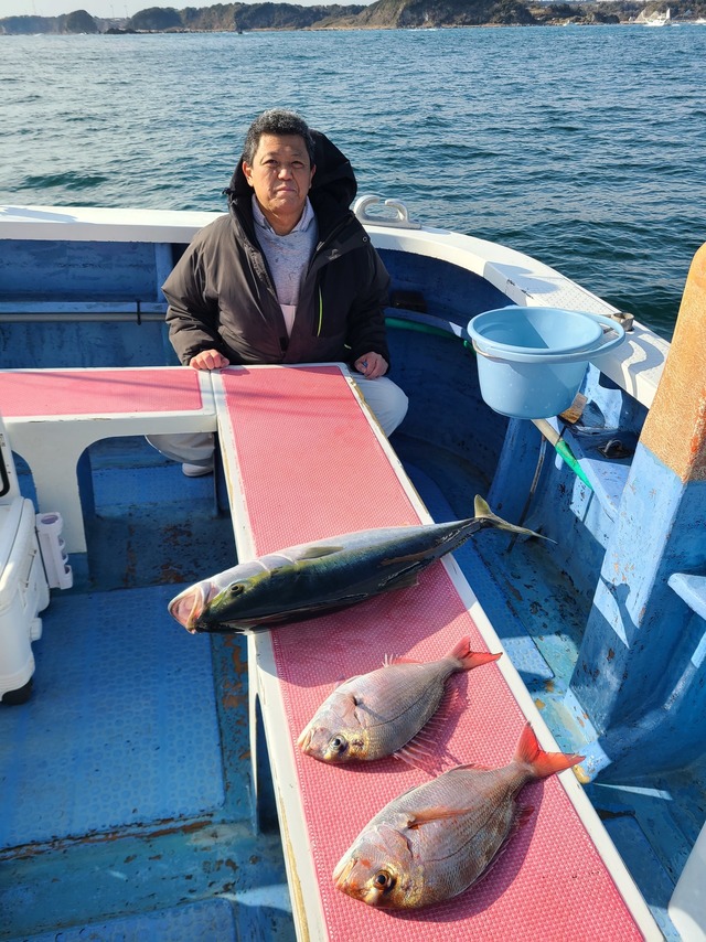 マダイ・ワラサ(ブリ)