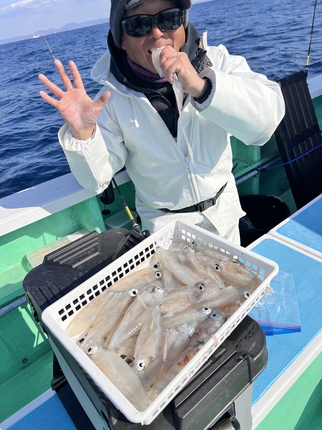 マルイカ(ケンサキイカ)