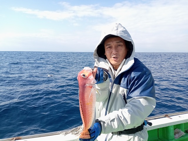 アマダイ(アカアマダイ)