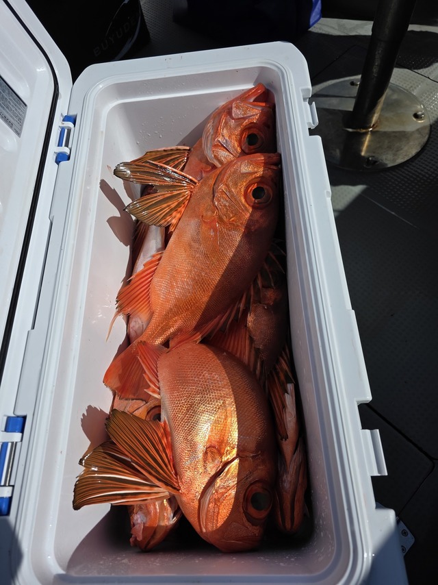 チカメキントキ