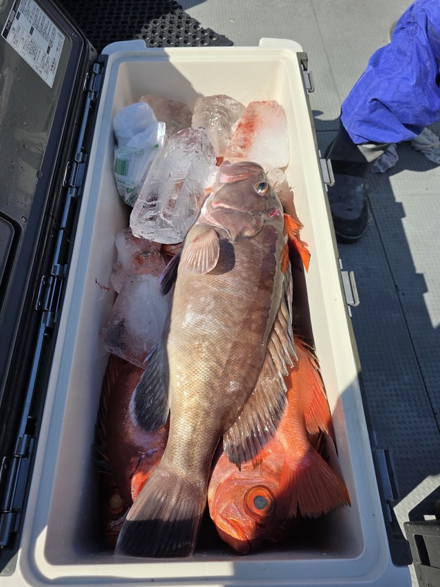 チカメキントキ