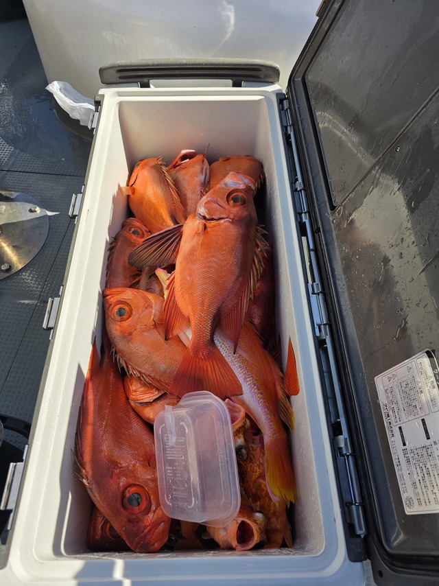 チカメキントキ