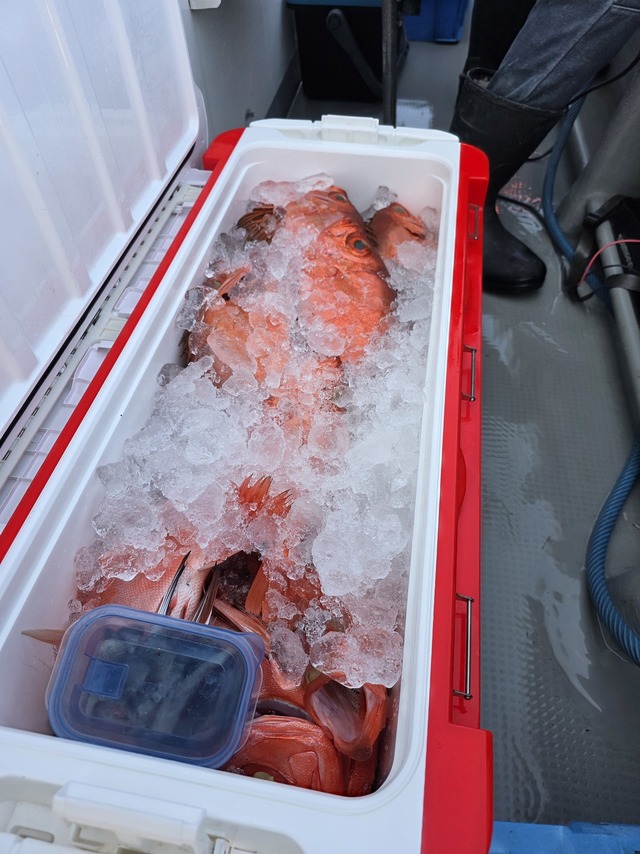 チカメキントキ