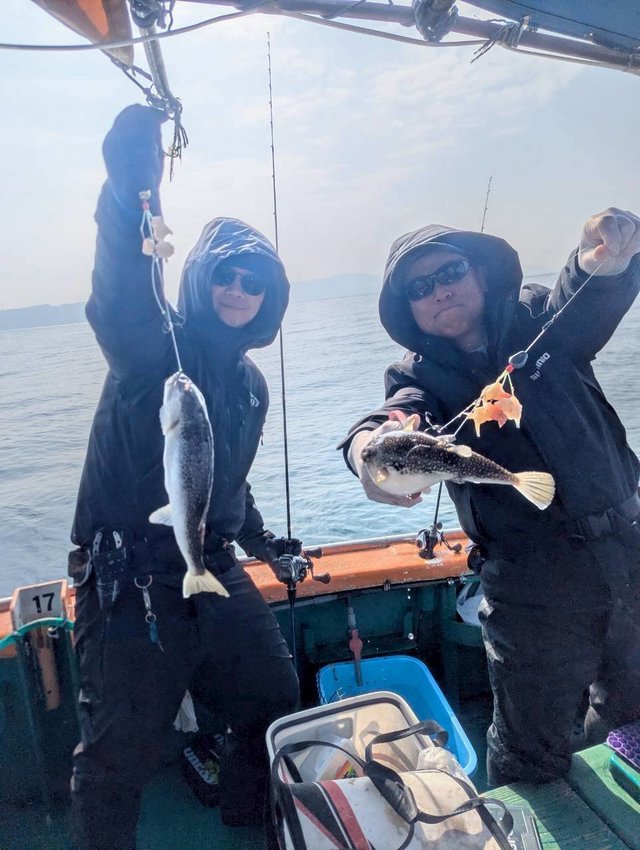 ショウサイフグ