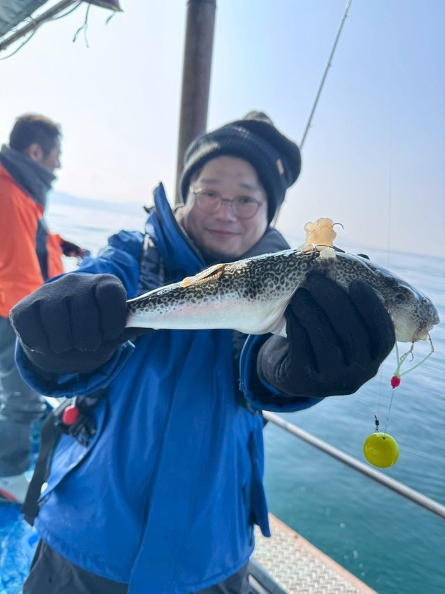 ショウサイフグ