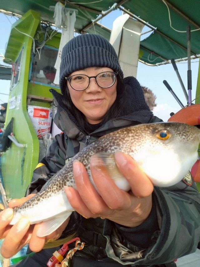 ショウサイフグ