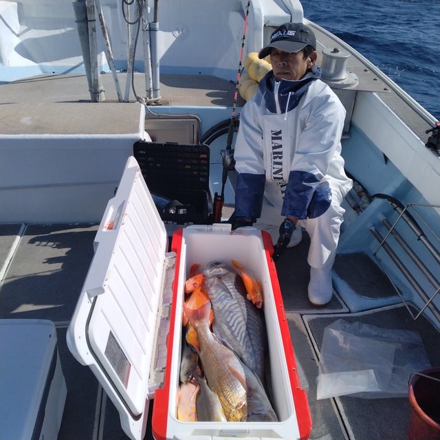 マダイ・アカイサキ・イサキ・メダイ