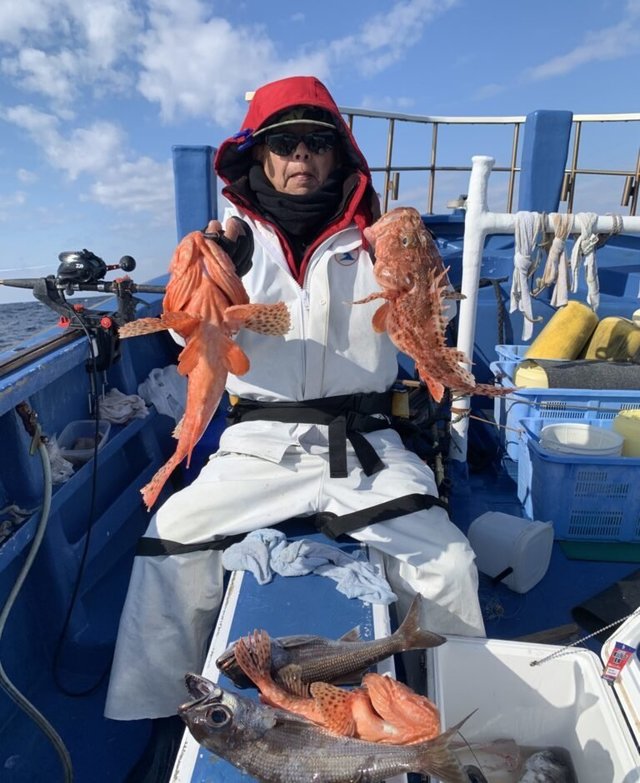 メダイ・オニカサゴ