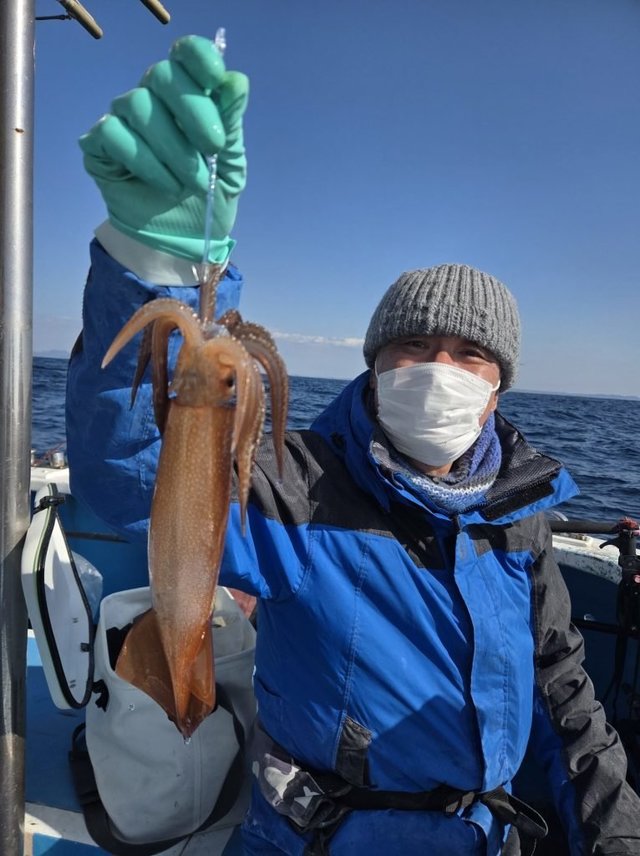 イカ(ケンサキイカ)