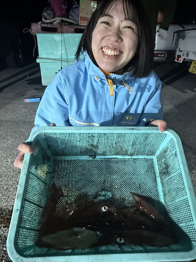 マルイカ(ケンサキイカ)・ヤリイカ