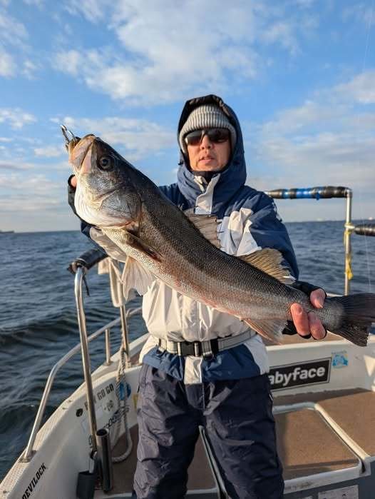 シーバス(スズキ)