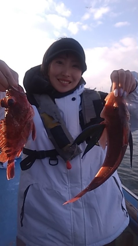 カサゴ・ホウボウ