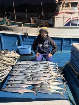 サゴシ(サワラ)・ヤナギ(サワラ)