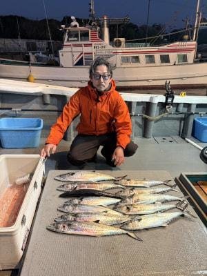 サゴシ(サワラ)・ヤナギ(サワラ)