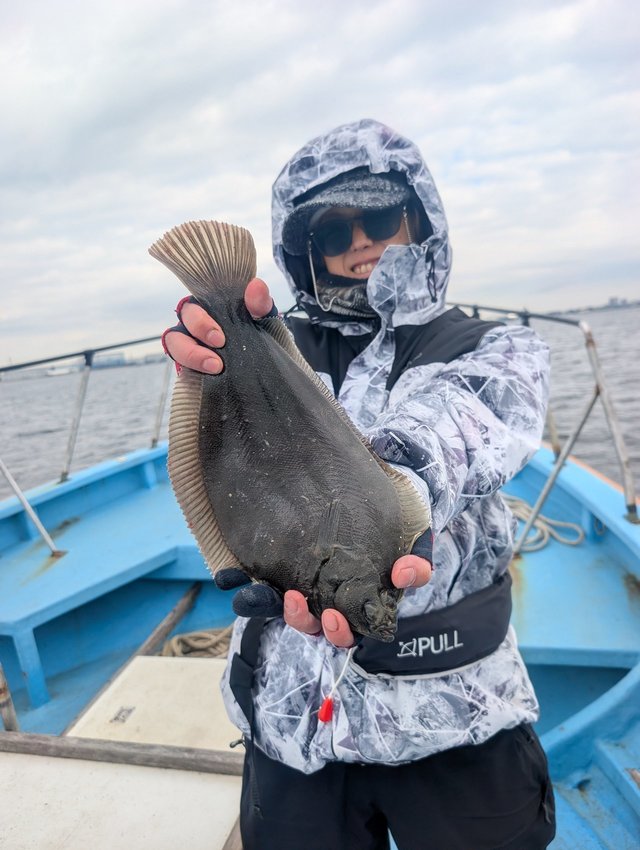 カレイ(マコガレイ)