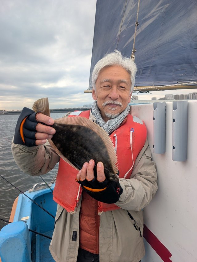 カレイ(マコガレイ)