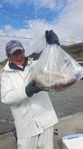 ヤリ(ヤリイカ)