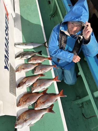 マダイ・クロダイ・イナダ(ブリ)