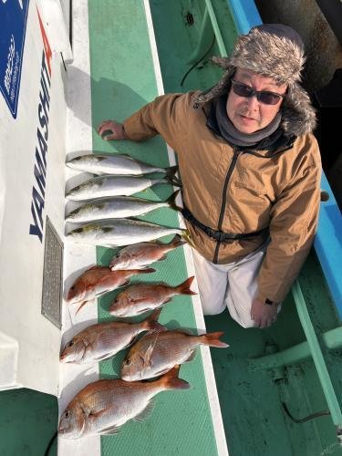 マダイ・イナダ(ブリ)