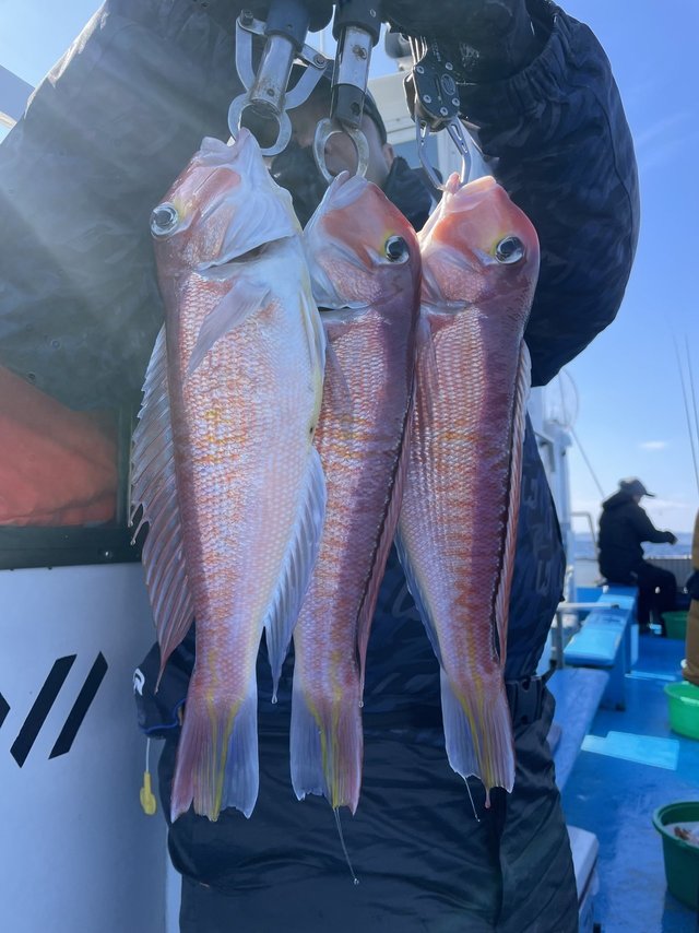 アマダイ(アカアマダイ)