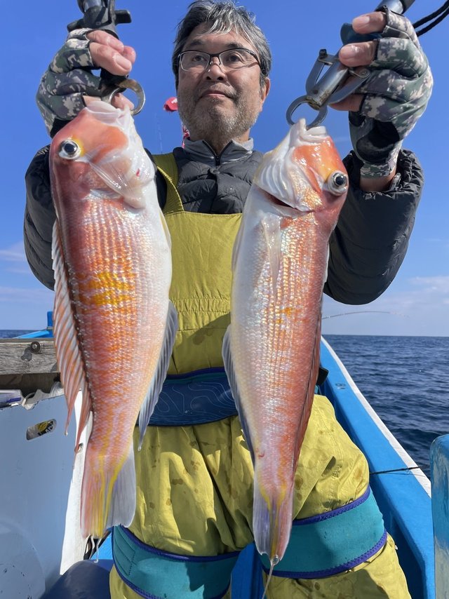 アマダイ(アカアマダイ)