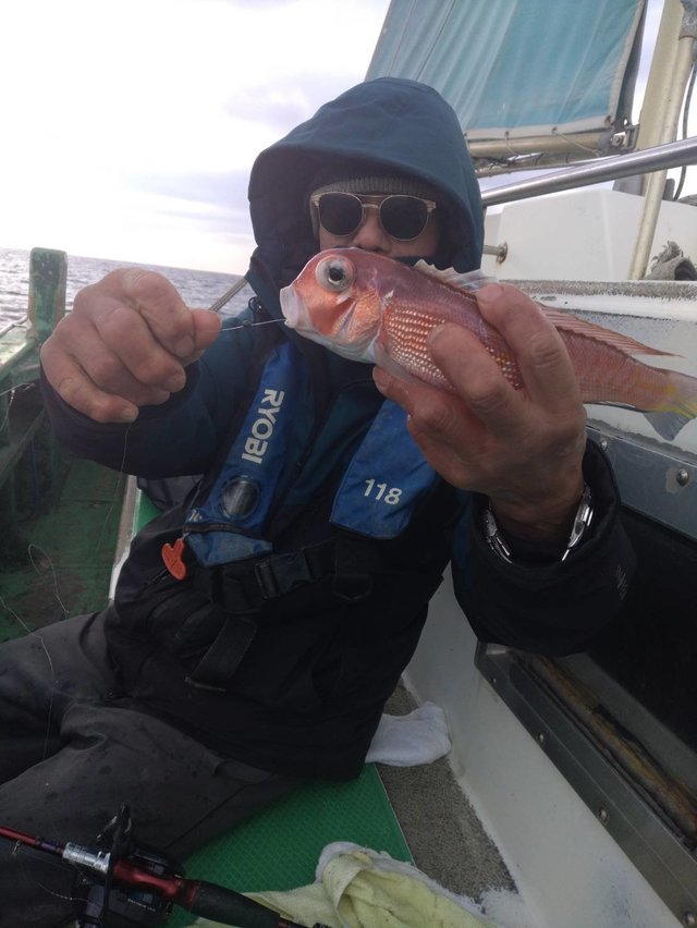 アマダイ(アカアマダイ)