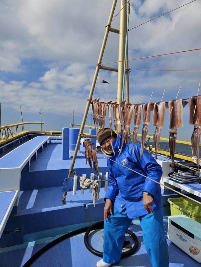 スルメ(スルメイカ)