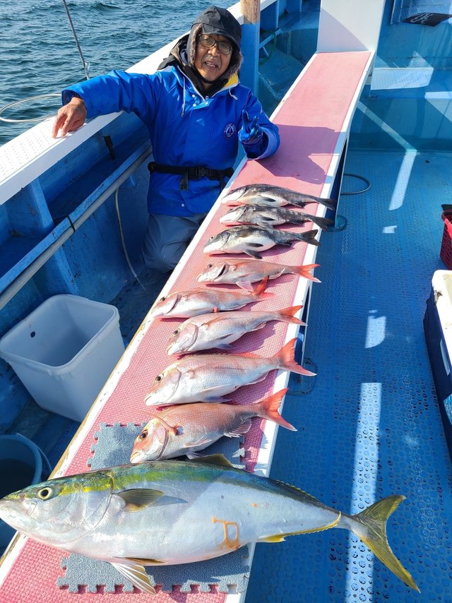 マダイ・クロダイ・ワラサ(ブリ)