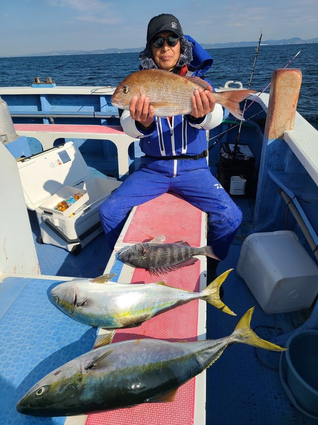 マダイ・クロダイ・ワラサ(ブリ)