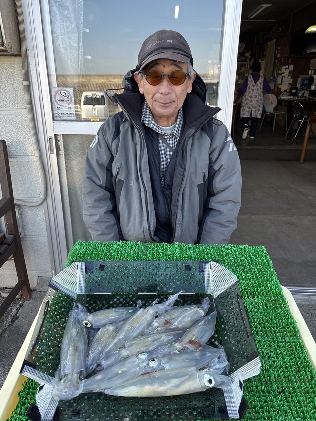 マルイカ(ケンサキイカ)