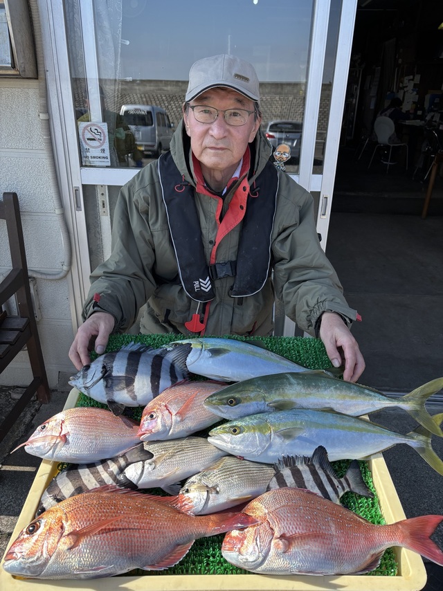 マダイ・イシダイ・イナダ(ブリ)