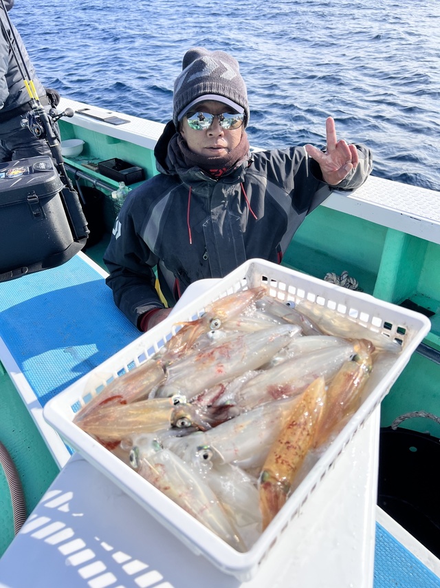 マルイカ(ケンサキイカ)