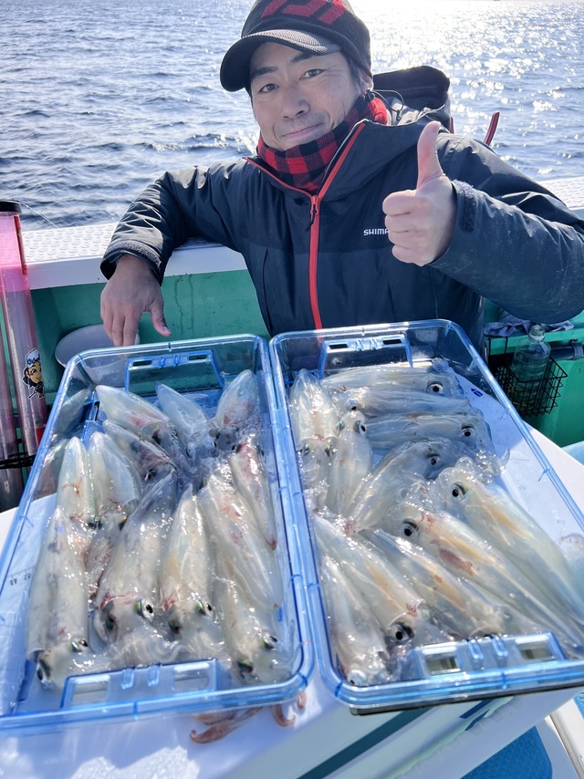 マルイカ(ケンサキイカ)