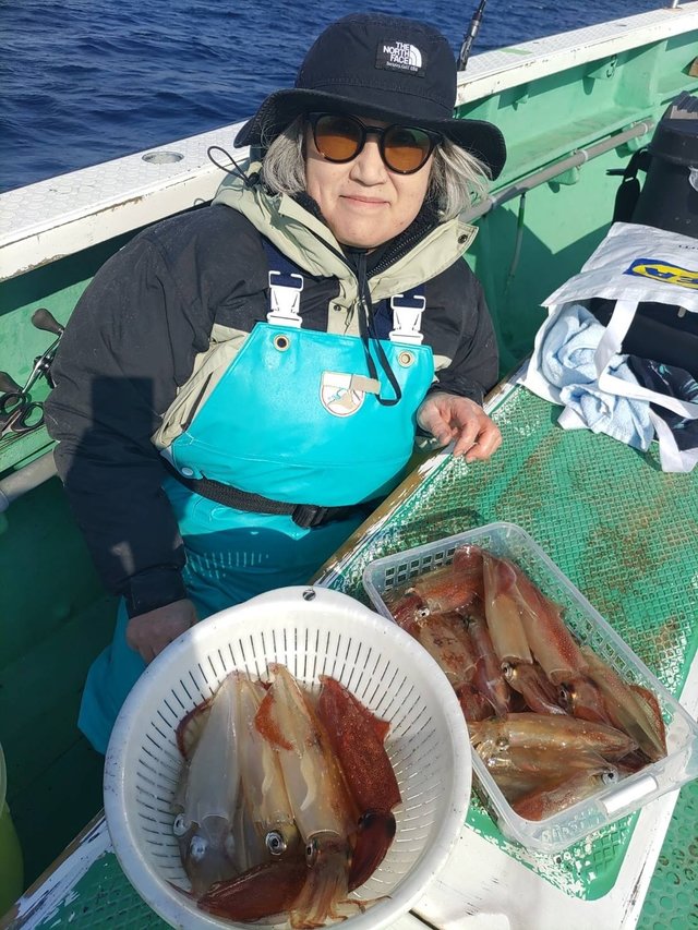 マルイカ(ケンサキイカ)