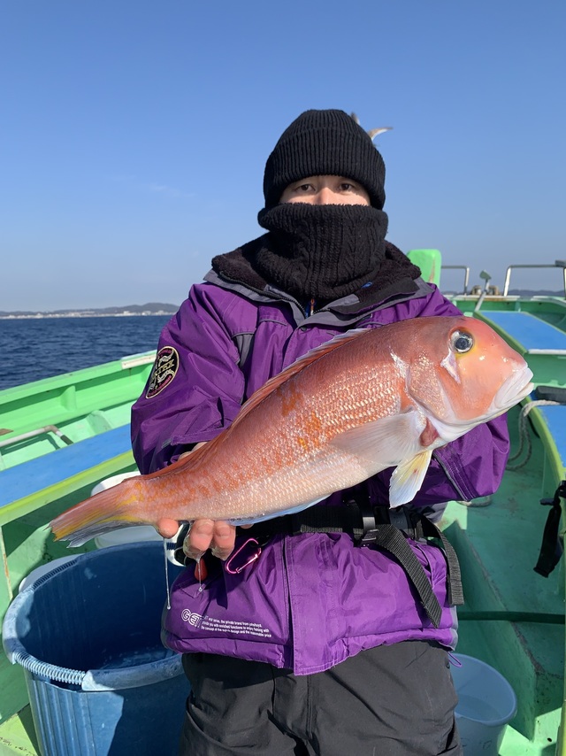 アマダイ(アカアマダイ)