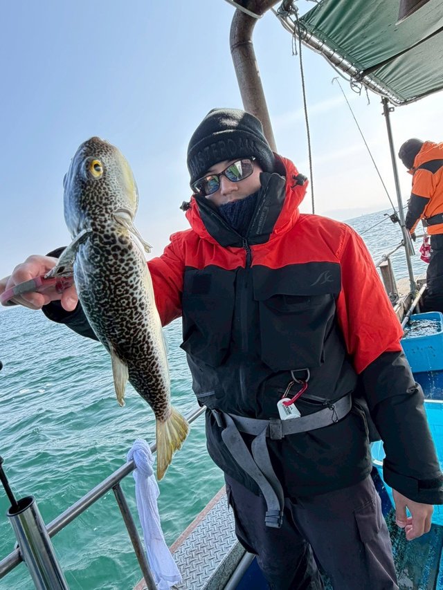 ショウサイフグ