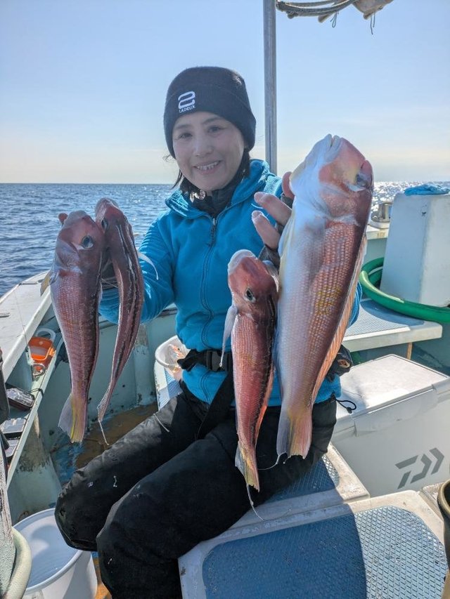 アマダイ(アカアマダイ)