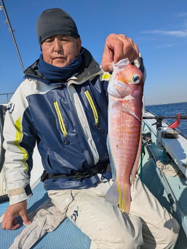 アマダイ(アカアマダイ)